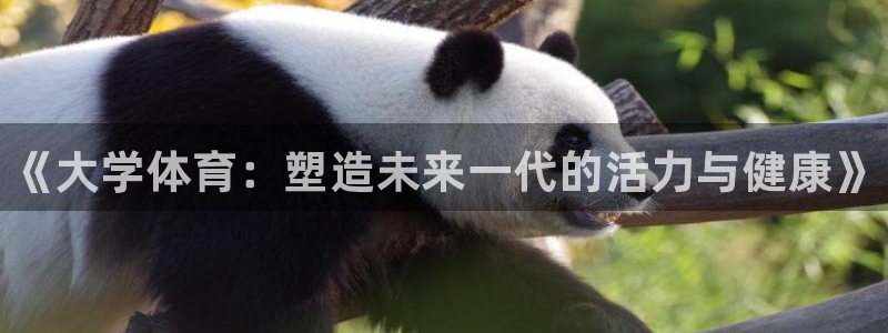 注册MK体育官方正版app：《大学体育：塑造未来一代