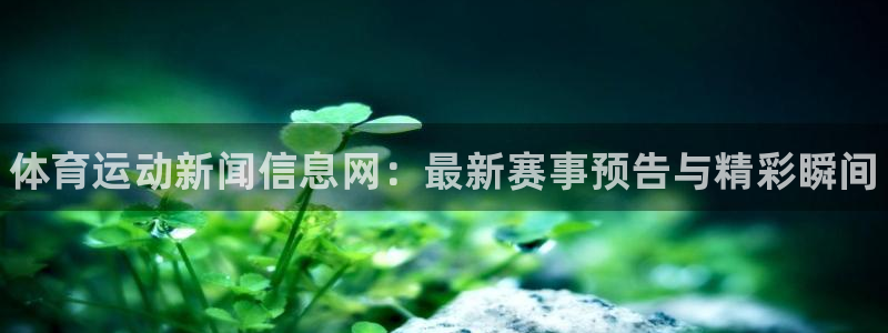 MK体育官网下载软件