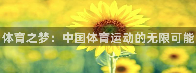 MK体育官方正版app娱乐网站：体育之梦：中国体育运