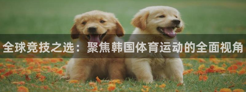 MK体育官网下载平台APP：全球竞技之选：聚焦韩国体