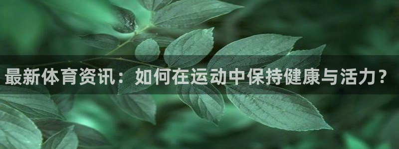 MK体育官方正版app集团E.ON：最新体育资讯：如何在运动