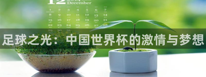 MK体育官网下载联系电话：足球之光：中国世界杯的激情与梦想