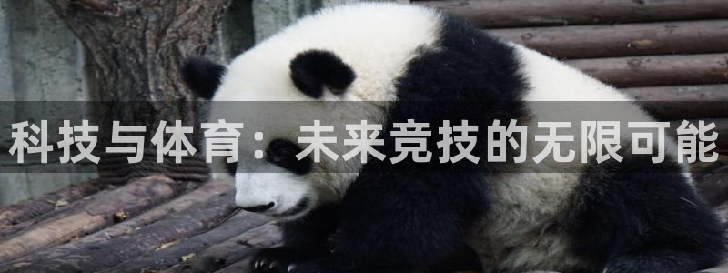 MK体育官网下载平台：科技与体育：未来竞技的无限可能