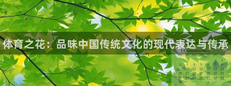 MK体育官方平台体育：体育之花：品味中国传统文化的现代表达与