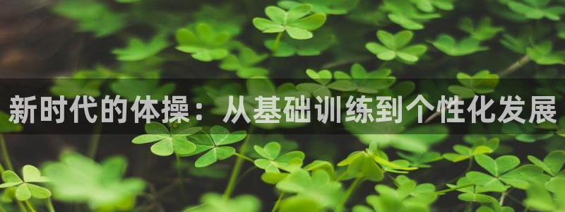 MK体育官方正版app集团官网首页网址：新时代的体操：从基础