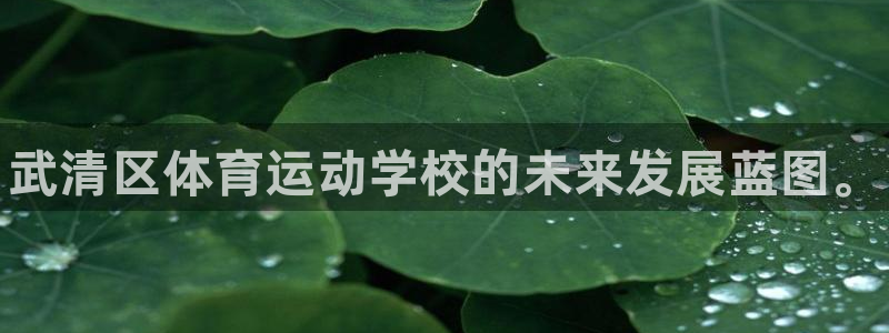 MK体育官方正版app娱乐是那个系列的台子：武清区体