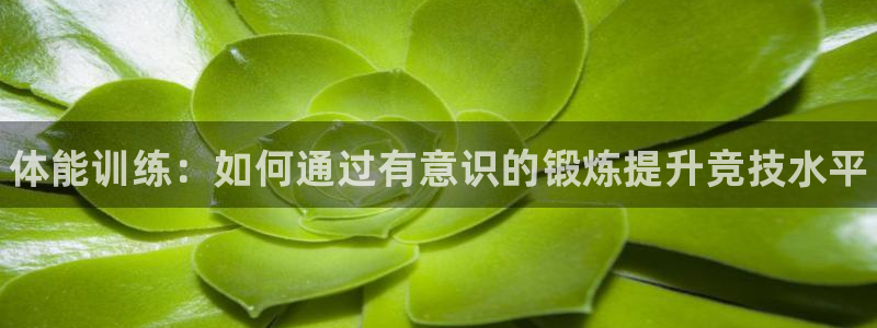 MK体育官网下载招商电话号码是多少号：体能训练：如何