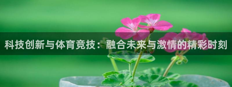 MK体育官方正版app科技：科技创新与体育竞技：融合