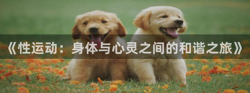 MK体育官网下载平台是正规平台吗知乎：《性运动：身体
