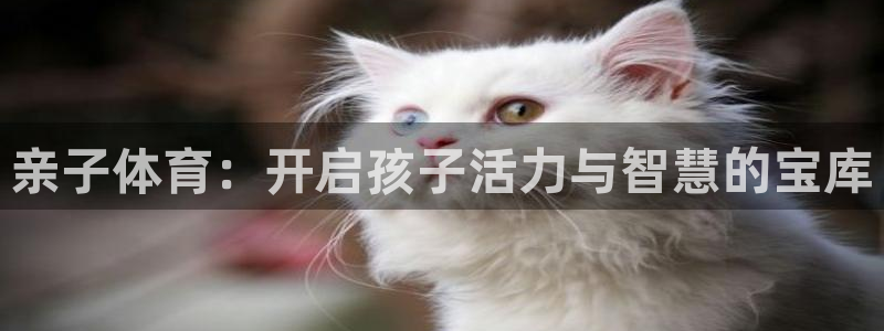 MK体育官网下载平台注册：亲子体育：开启孩子活力与智