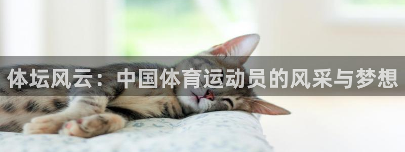 MK体育官方正版app娱乐首页网站大全：体坛风云：中