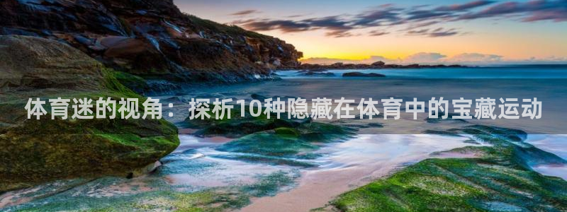 MK体育官方正版app新能源：体育迷的视角：探析10