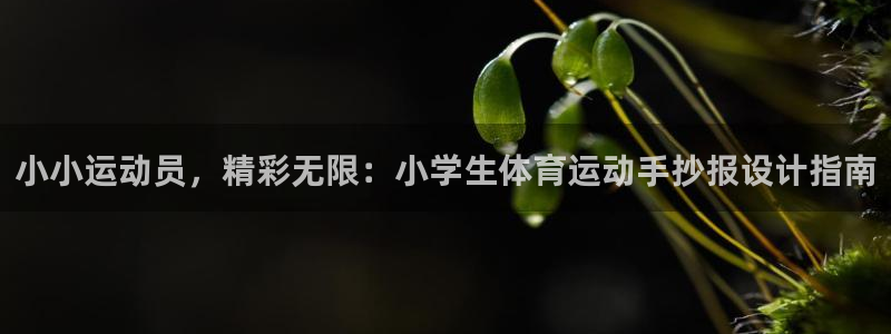 MK体育官方正版app娱乐首页网站大全：小小运动员，