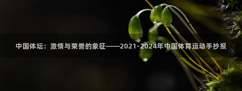 MK体育官网下载娱乐：中国体坛：激情与荣誉的象征——2021