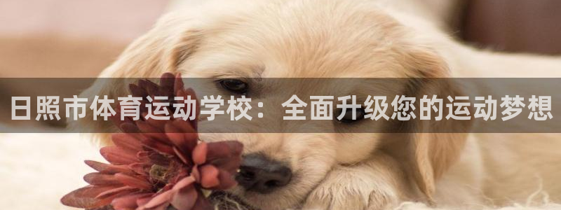 MK体育官网下载注册：日照市体育运动学校：全面升级您的运动梦