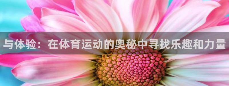 MK体育官方正版app娱乐：与体验：在体育运动的奥秘中寻找乐