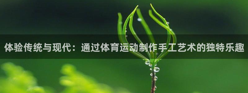 MK体育官方正版app娱乐首页网站大全：体验传统与现代：通过