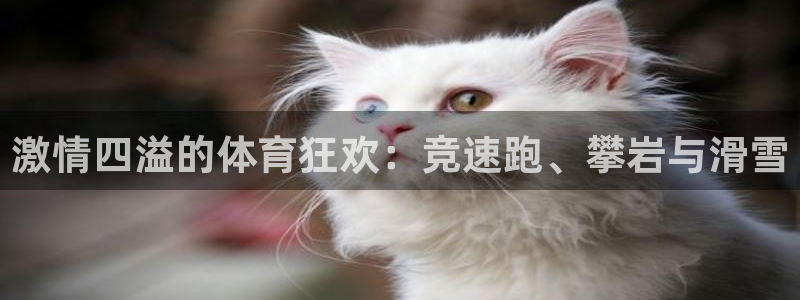 MK体育官网下载平台注册流程图：激情四溢的体育狂欢：竞速跑、