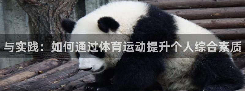 MK体育官方正版app娱乐首页网站大全：与实践：如何通过体育