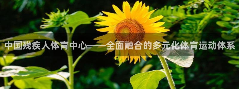 MK体育官方平台体育：中国残疾人体育中心——全面融合的多元化