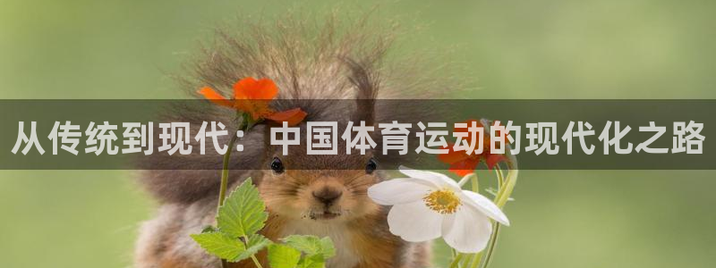 海南MK体育官网下载发展怎么样：从传统到现代：中国体育运动的