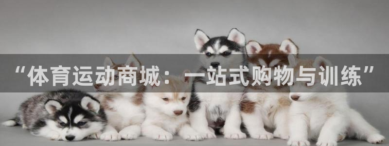 MK体育官网下载联系电话