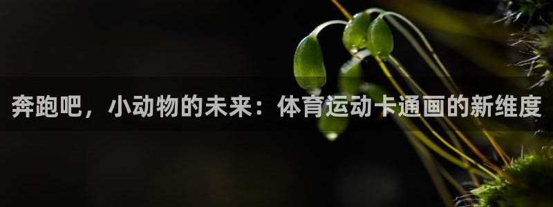 MK体育官方正版app神州：奔跑吧，小动物的未来：体育运动卡