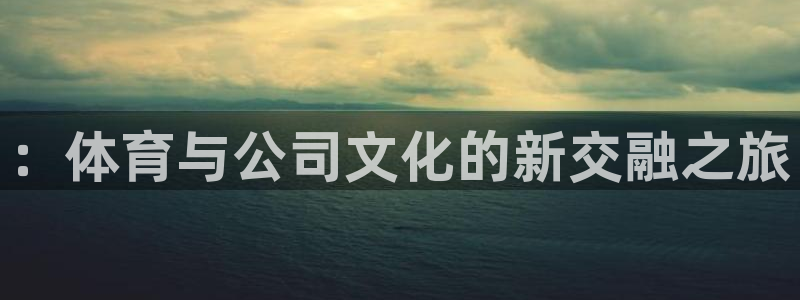 MK体育官网下载平台注册流程视频：：体育与公司文化的