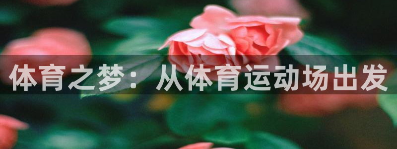 MK体育官网下载平台注册：体育之梦：从体育运动场出发