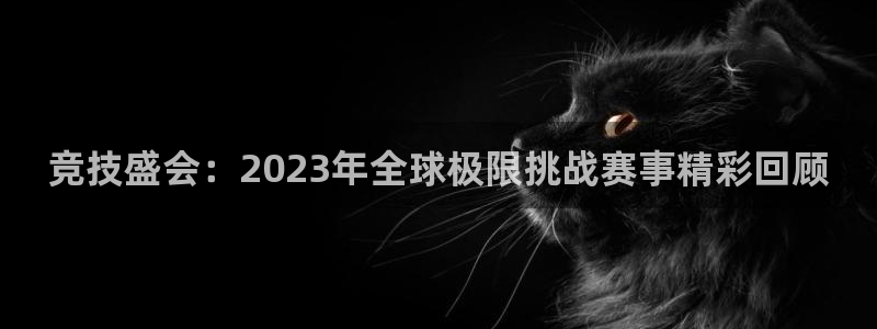 MK体育官方正版app娱乐代理怎么样