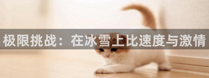 MK体育官方正版app娱乐平台