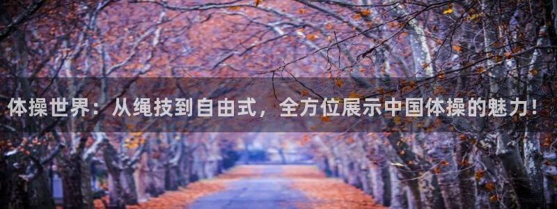 MK体育官网下载招商电话是多少号码：体操世界：从绳技到自由式