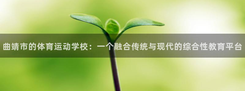 MK体育官网下载平台APP：曲靖市的体育运动学校：一个融合传