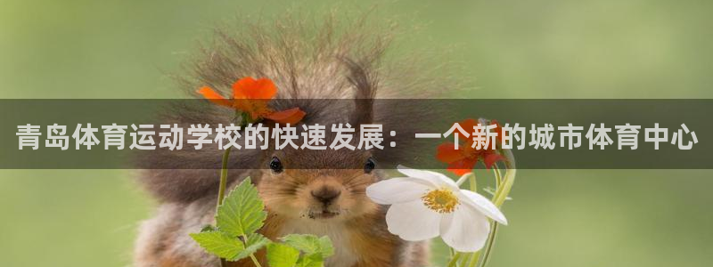 MK体育官方正版app集团简介：青岛体育运动学校的快