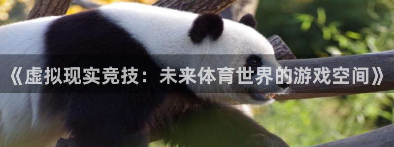 MK体育是正规的吗：《虚拟现实竞技：未来体育世界的游戏空间》
