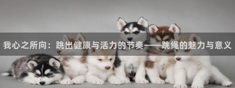 mk体育软件下载：我心之所向：跳出健康与活力的节奏——跳绳的