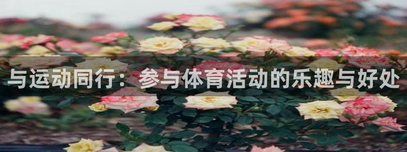  mk体育网：与运动同行：参与体育活动的乐趣与好处
