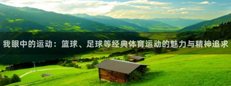  mk体育官网中文官网：我眼中的运动：篮球、足球等经典体育运动